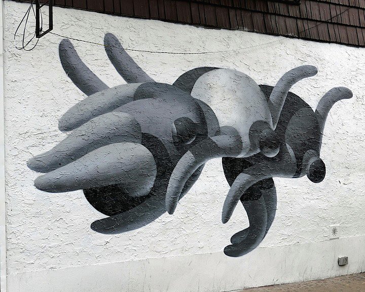 Mike Lee in Williamsburg, Brooklyn