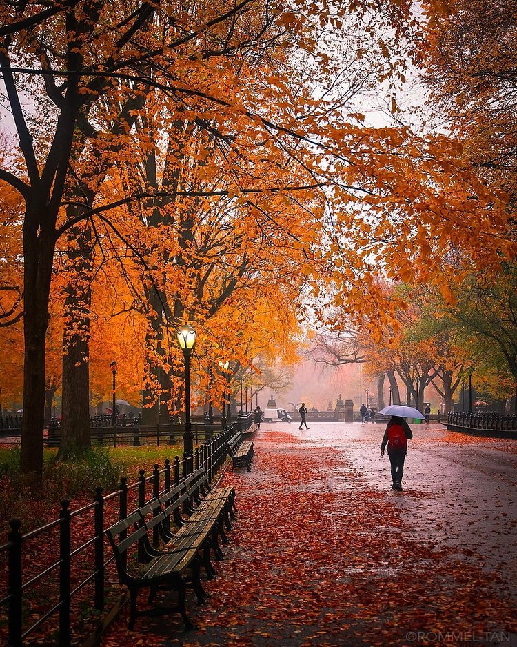 The Mall in Central Park, Manhattan