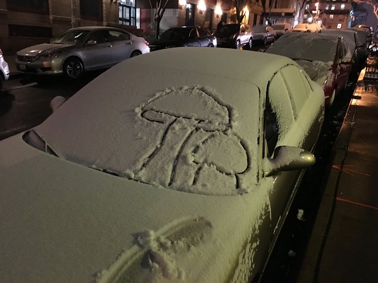 Boletus frostii---January 2016