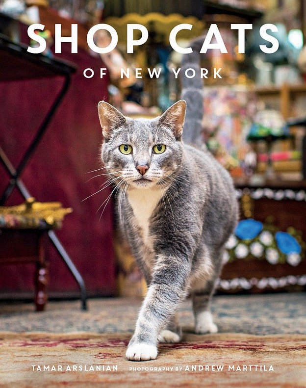 Shop Cats of New York