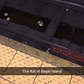 Lest anyone thinks life in NYC is all glamorous, here's The Rat of Bagel Island #🐀 #mta #subwayadventures #bagelislandrat