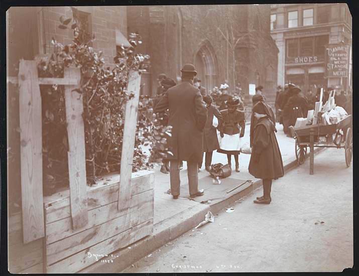 xmastreessixthavemcny190293-1-1-7939