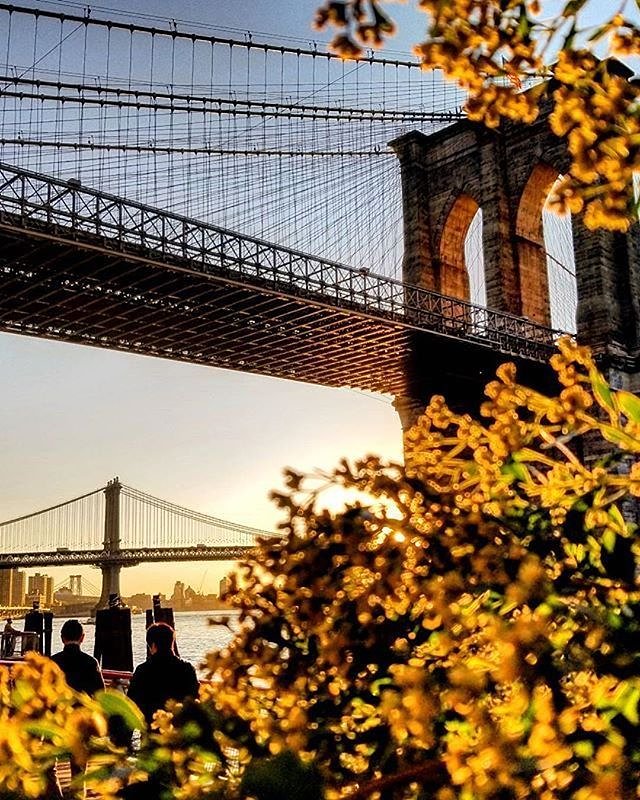 Brooklyn Bridge, New York. Photo via @qwqw7575 #viewingnyc #newyorkcity #newyork #nyc