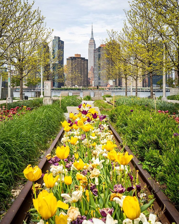 Hunter's Point South Park, Long Island City, Queens