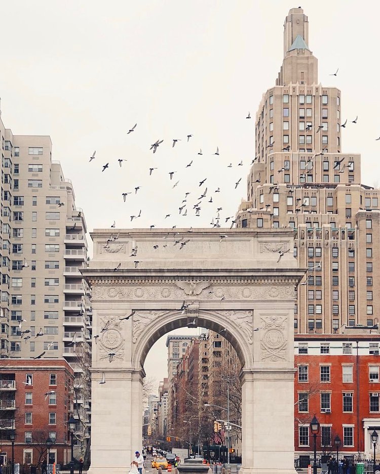 So many photobombers 🕊