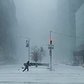 Jonas Blizzard 2016 - New York City