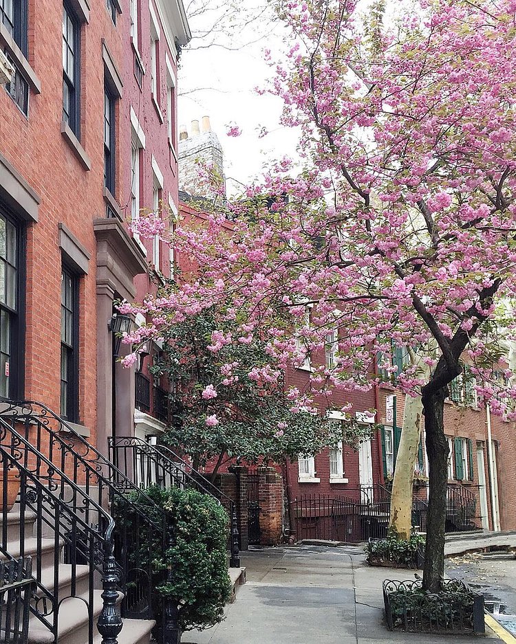 There are so many beautiful reasons to be happy, wishing you all a lovely Sunday 🌸💗 #vscocam #nyc #pursuepretty