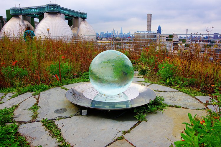 Crystal Ball, Kingsland Wildflower, Brooklyn
