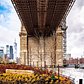 Emily Roebling Plaza, Brooklyn Bridge Park, DUMBO, Brooklyn