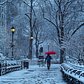 Union Square Park, New York, New York