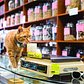 Shop Cats of New York
