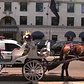 NYC horse-drawn carriages move inside Central Park