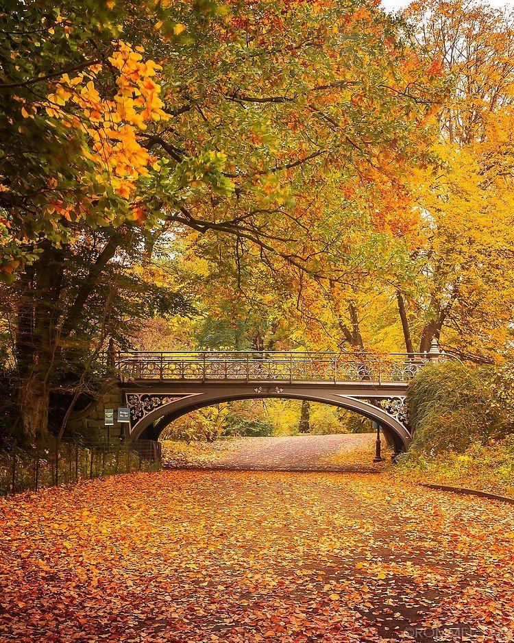 Bridge No. 24, Central Park, New York