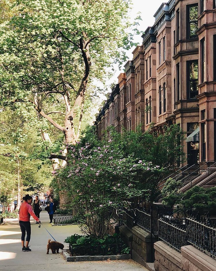 Brooklyn, New York. Photo via @iwyndt #newyork #newyorkcity #nyc #viewingnyc