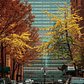 Tudor City's East 43rd street fall foliage (if there is such a thing) coloring the way to the United Nations Secretariat building ✰
#NYC #NY #newyorkcity #newyork #new_york #manhattan #wildnewyork #EmpireStateOfMind #topnewyorkphoto #thisisnewyorkcity #nycprimeshot #made_in_ny #ig_nycity #igersofnyc #gf_nyc #icapture_nyc #instagramnyc #ILoveNY #newyorker #newyorknewyork #igersusa #newyork_instagram #supremenewyork #ig_northamerica #ig_unitedstates #instaglobal #igersmood #seeyourcity #rsa_streetview #streetphoto