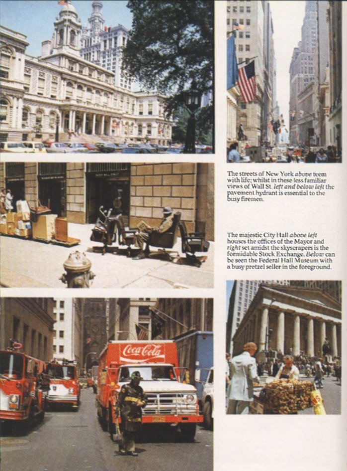 New York - A Picture Book to Remember Her By