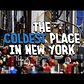 Where’s the Coldest Place in New York? In This Columbia Physics Lab.