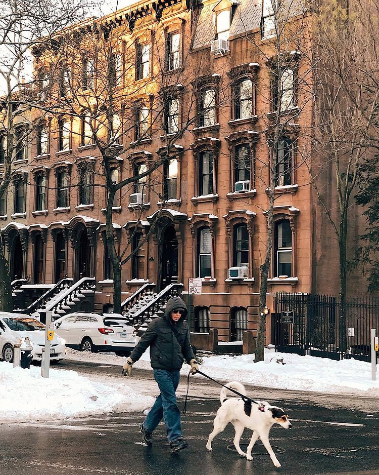 Fort Greene, Brooklyn, New York