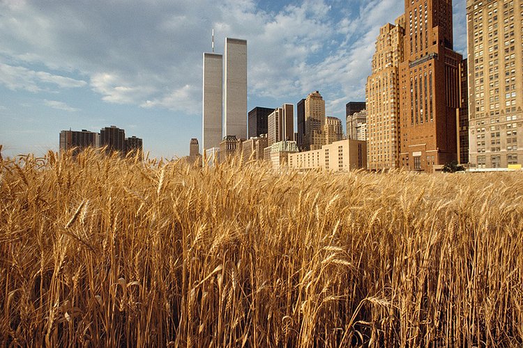 With New York's financial center