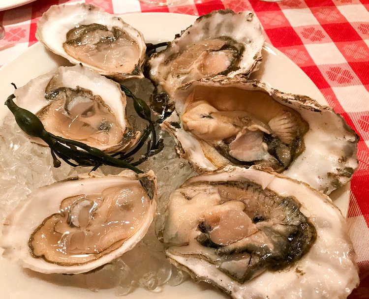 Oysters at the Grand Central Oyster Bar in NYC.