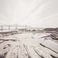 Low tide in the Arthur Kill reveals the remains of wooden ships.