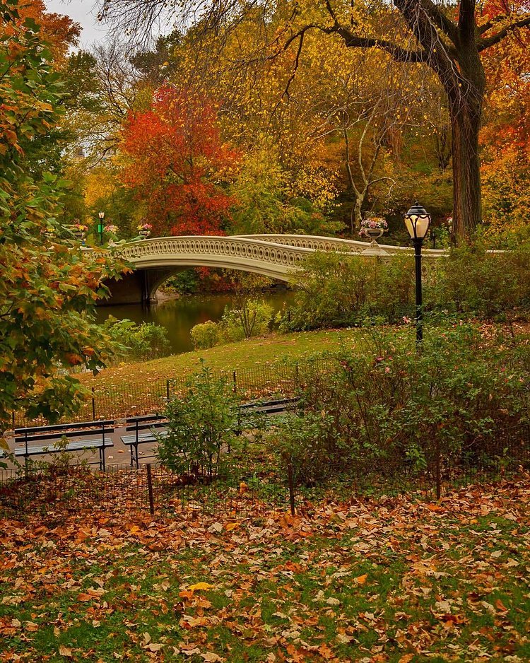 Bow Bridge, Central Park, New York