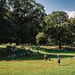 2020 in Prospect Park