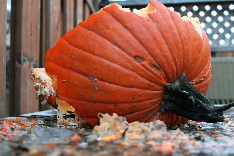 Smashed Pumpkin