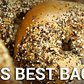 Bagel Battle Royal: Which Bagel Style is Best?