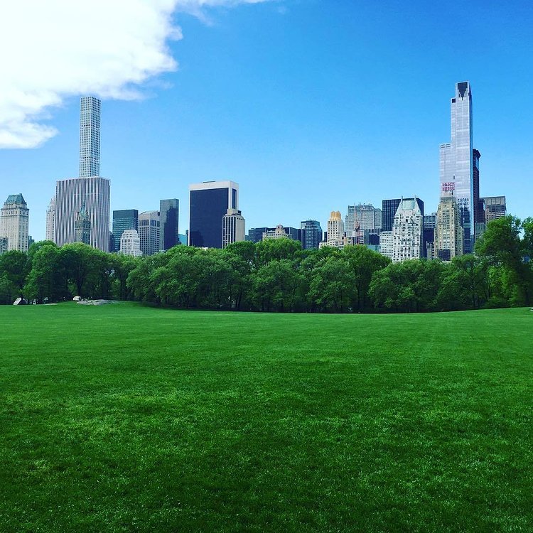 Sheep's Meadow, Central Park, NYC