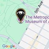 The Metropolitan Museum of Art (1000 5th Ave, New York, NY 10028, USA)