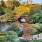 Central Park, Manhattan