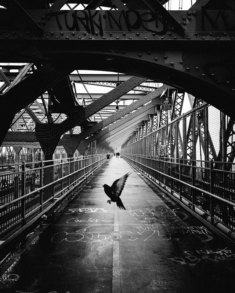 - Devine Intervention🕊️- #ILLest173

#blackandwhiteisworththefight #bnwwtf #nycp  #life_is_street #streetlife_award #streetleaks #suspectmag #streetcollectors #sber6 #Citykillerz  #streetmagazine #streetdreamsmag #nyc #symmetry #newyorkcity #streetphotography #street  #moodygrams #bnw_sundays #bnw_captures #lightroommasters #symmetrykillers #fox_bnw #estheticlabel #what_i_saw_in_nyc #canonusa #symmetricalmonsters #flockwithus #🐦