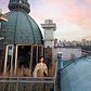 Inside a Dream Penthouse Overlooking Central Park | Unique Spaces | Architectural Digest