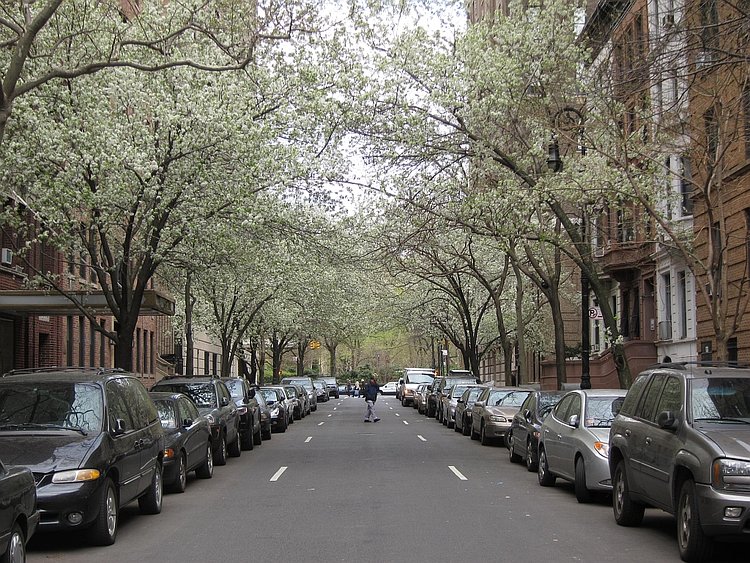 The old Upper West Side 17 | Callery pear trees blooming on West 69th Street, of "You've Got Mail" fame.