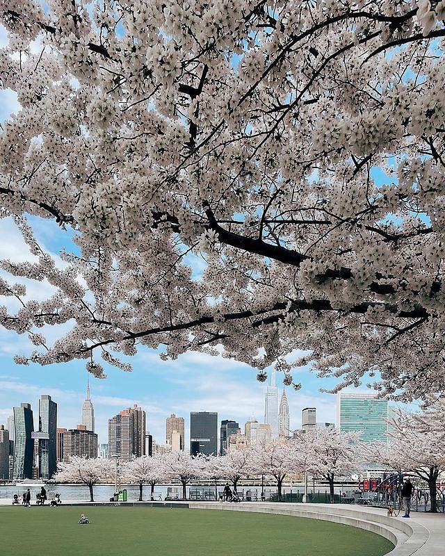 Hunter's Point South Park, Hunter's Point, Queens