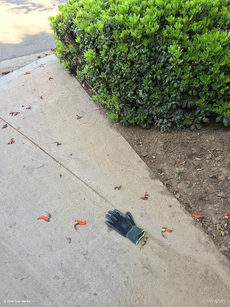 It happens every Spring!! Hanx https://t.co/BXciQ72P0j