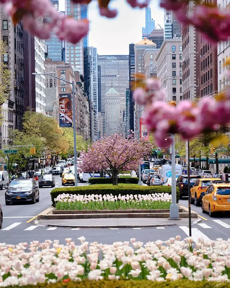 Park Avenue, Midtown, Manhattan