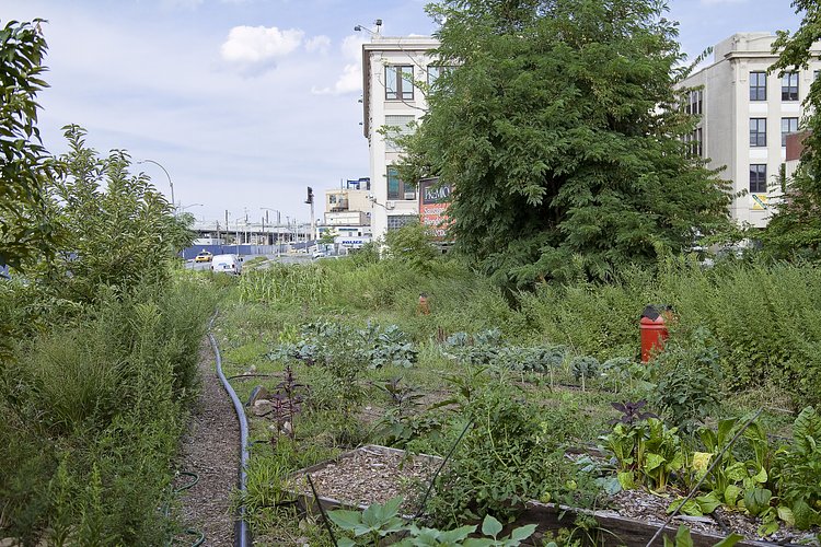 r_130817183_dkills_a