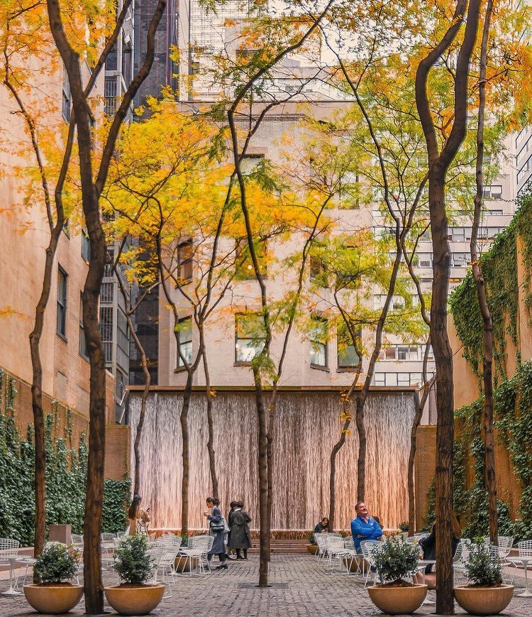Paley Park, Midtown, Manhattan