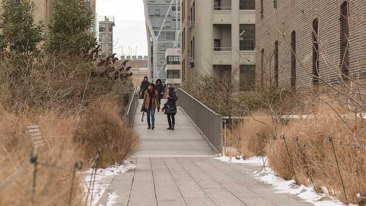 Fly-Over | The fly over on the High Line.