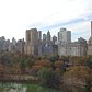 Central Park In Fall