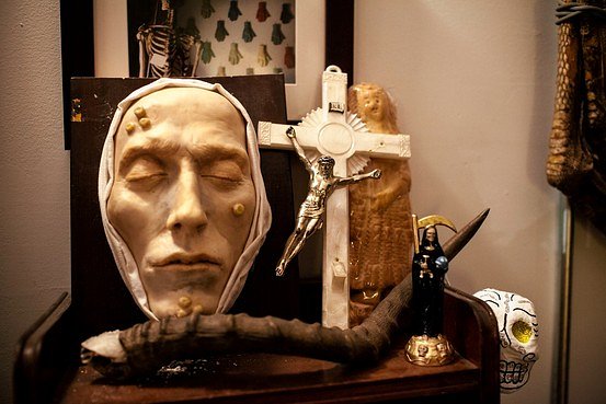 Items on display at the Morbid Anatomy Museum