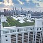 Brooklyn Grange - A New York Growing Season