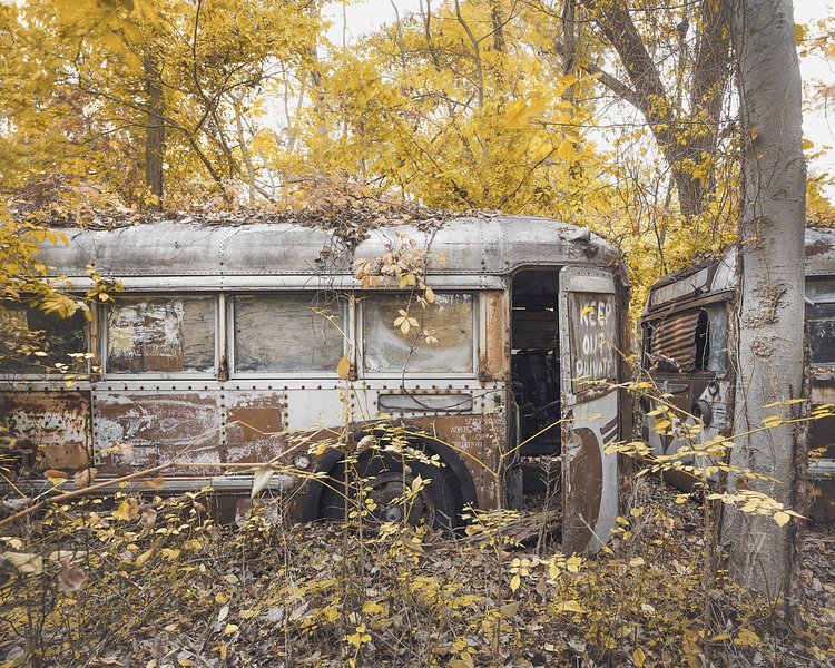 ..pictured here in the fall.