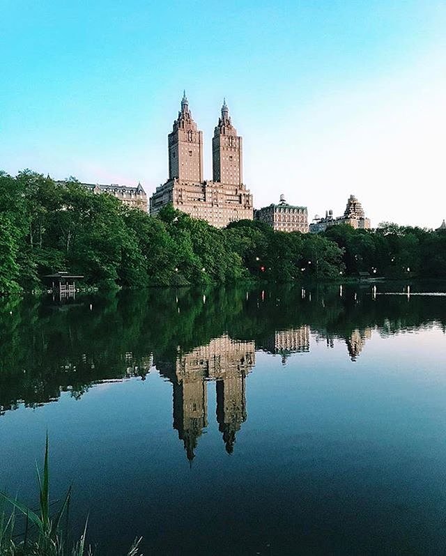 Central Park, New York City. Photo via @newyork_instagram #viewingnyc
