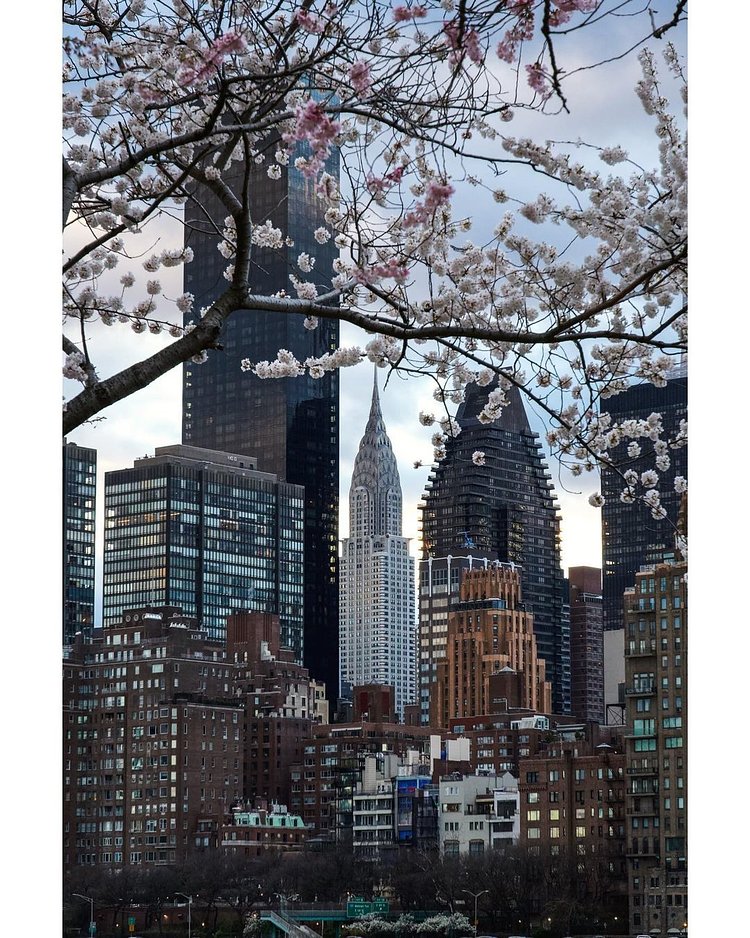 Chrysler Building from Roosevelt Island, Manhattan