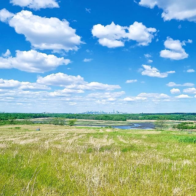 Freshkills Park, Staten Island