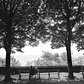 July 20, 1991: A tranquil summer scene in Fort Tryon Park in an apparently unpublished photo, showing "older folks" enjoying some shade.