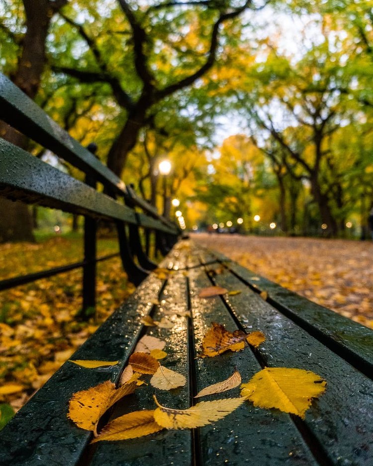 Central Park, Manhattan